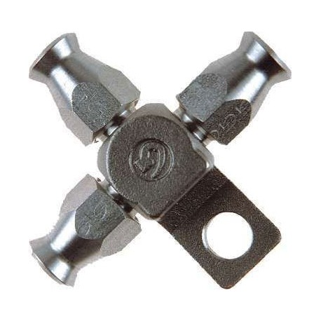 TE Goodridge 3 Femelles Dash 03 avec FIXATION