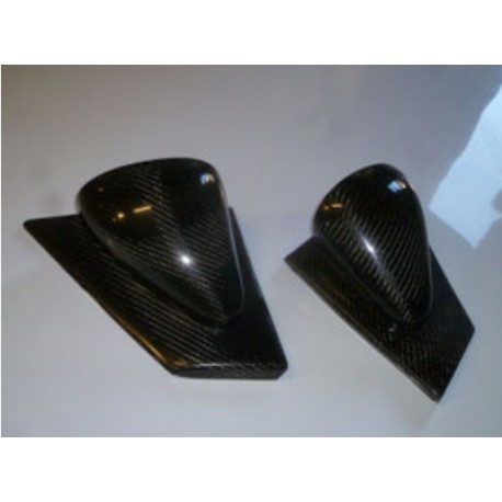 Retroviseur Carbone  RENAULT Clio 3 (la paire)