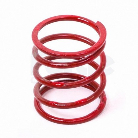 Ressort rouge (petit) 25 FMFSITVR   Dump valve