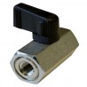 Robinet 1/4 Tour 1/8 BSP Frein