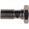 Vis Banjo Goodridge M10X100 18.5mm